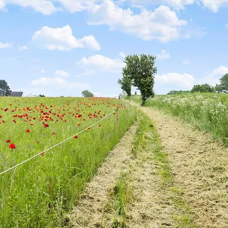 Ae272-soby-aero-rondal-7-a Appartement Havrekobbel